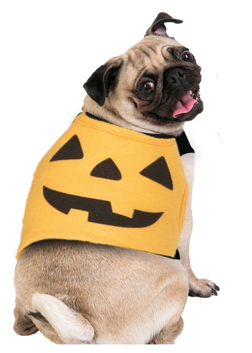 Disfraz de Calabaza para Perros