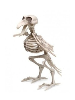 Skeleton 90 cm Phosphorescent