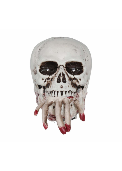 Calavera en Movimiento