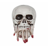 Calavera en Movimiento