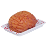 Bandeja con Cerebro 20cm