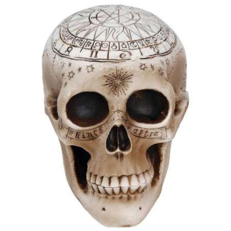 Calavera 20 cms