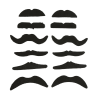 Set de 12 Bigotes