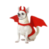 Disfraz de Demonio para Perros - Disfraces Halloween Animales