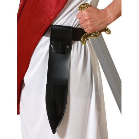 Funda de Espada Negra