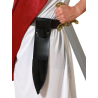 Funda de Espada Negra