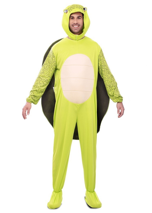 Mozorro Turtle