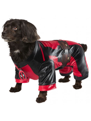 Comprar Disfraz de Thor Mascota - DISFRACES PARA PERROS