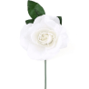 Blanca Gran Flor