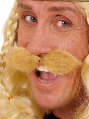Moustache D'astérix