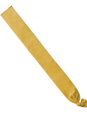 còpia de Banda Lisa Rosa