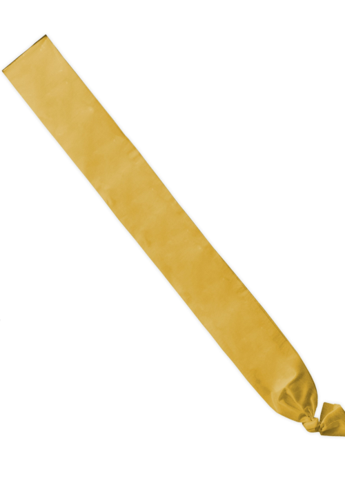 còpia de Banda Lisa Rosa