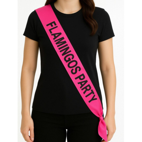 Banda De Flamencs Partit