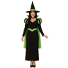Disfraz De Bruja Capa Verde