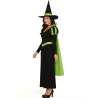 Disfraz De Bruja Capa Verde