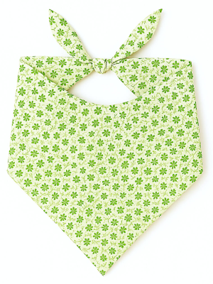 Pañuelo o zapi de neska Flores Verdes - Pañuelos Trajes Regionales