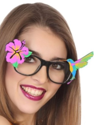 Comprar Gafas Flamencos - Gafas