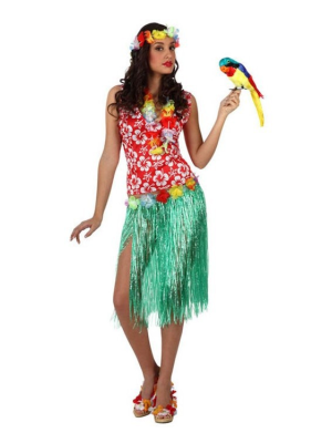 Comprar el Vestit de Hawaii, només per a 13.00€ – vestit de Botiga en línia