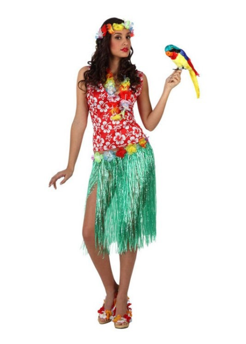 Comprar el Vestit de Hawaii, només per a 13.00€ – vestit de Botiga en línia