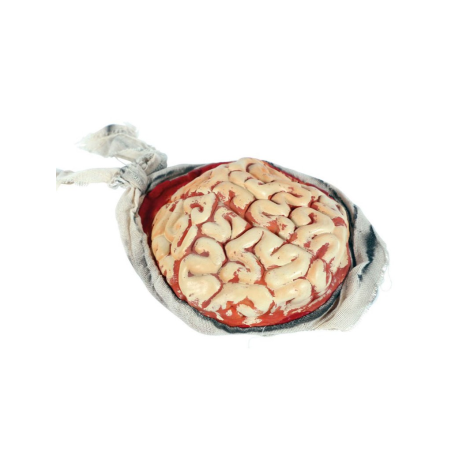 copy of Venda Con Cerebro