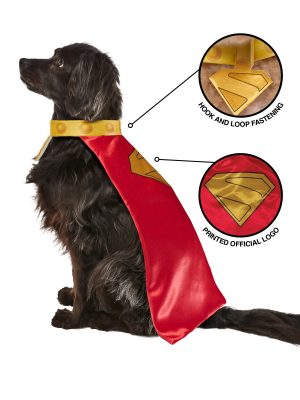 Disfraz de Kripto Superman para Mascota - Disfraces Superheroes Perros