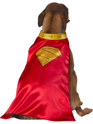 Disfraz de Kripto Superman para Mascota - Disfraces Superheroes Perros - Superman