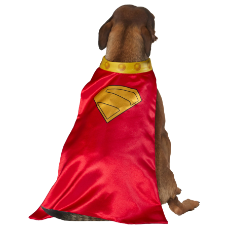 Disfraz de Kripto Superman para Mascota - Disfraces Superheroes Perros - Superman