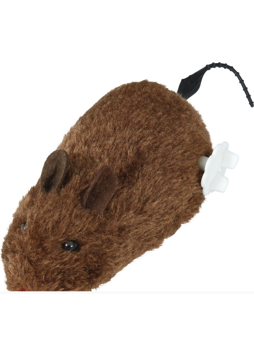 Comprar Rata - Animales y Bichos