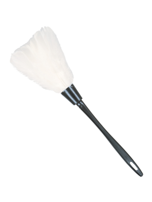 Comprar Plumero por solo 2.00€ – Tienda de disfraces online