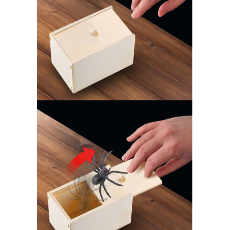 Caja con araña - Articulos de Bromas - Articulos de Broma