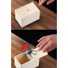 Caja con araña - Articulos de Bromas - Articulos de Broma