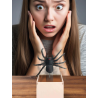 Caja con araña - Articulos de Bromas - Articulos de Broma