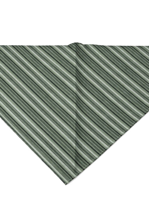 Pañuelo Casera Grande Rayas Verde - Pañuelos Trajes Tradicionales - Pañuelos y Delantales Regionales