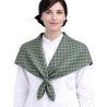 Pañuelo Casera Grande Trebol Verde - Pañuelos Trajes Tradicionales - Pañuelos y Delantales Regionales