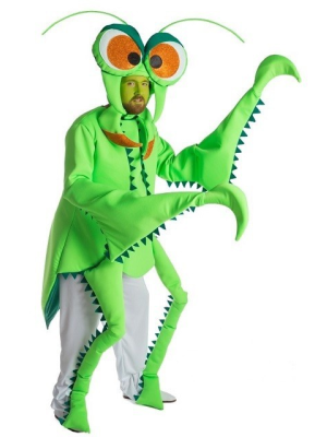 Comprar el Vestit Mantis per només 61.00€ – vestit de Botiga en línia
