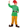 Disfraz de Enanito Verde Infantil - Disfraces de Duendes, Elfos para Niño