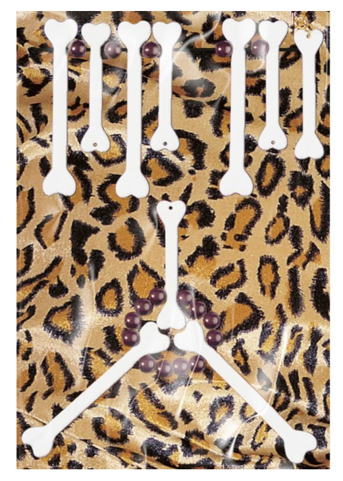 Conjunto De Huesos - COMPLEMENTOS POR CATEGORIA