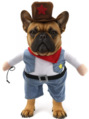 còpia de Disfraz De Unicornio Para Perros