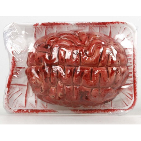 Bandeja con Cerebro - Organos y Miembros Sangrientos