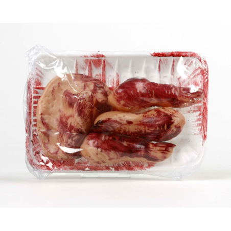 Bandeja con Restos Humanos - Organos y Miembros Sangrientos