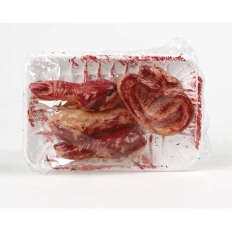 Bandeja con Restos Humanos - Organos y Miembros Sangrientos