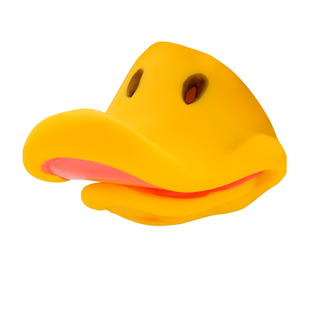 còpia de Ànec Nas