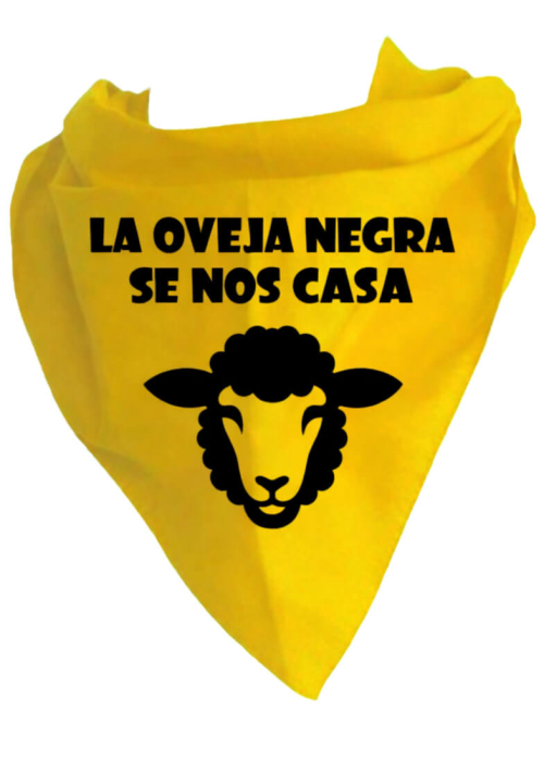 copy of Pañuelo Para Despedidas Hoy Gran Cocida