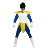 Comprar el Vestit Vegeta per només 23.00€ – vestit de Botiga en línia