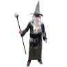 Disfraz de Mago Gris - Disfraces de Brujas y Hechiceros para Hombre