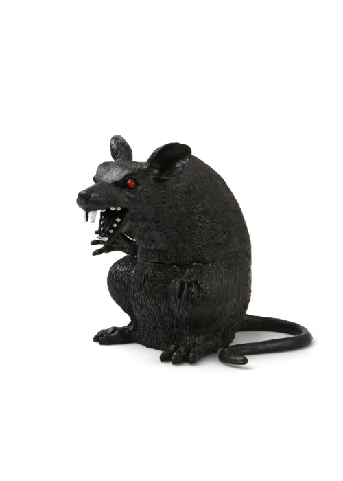 Rata  - Animales y Bichos