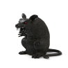 Rata  - Animales y Bichos