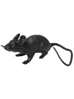 Rata  - Animales y Bichos