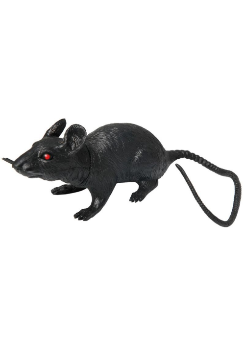Rata  - Animales y Bichos