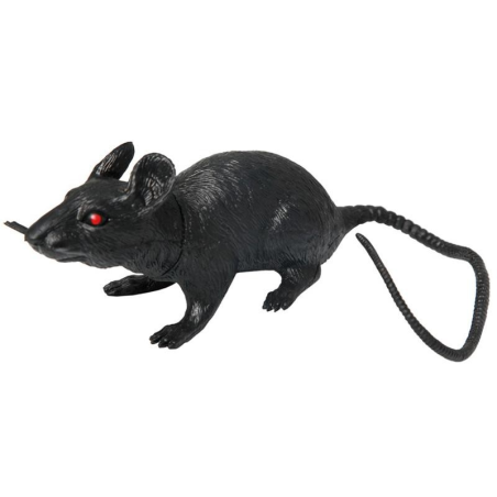 Rata  - Animales y Bichos